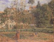 Camille Pissarro Vegetable Garden at the Hermitage near Pontoise oil painting on canvas